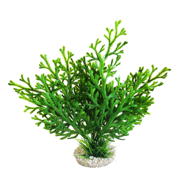 Sydeco® Microsorum Plant H 28 cm  8,56 €