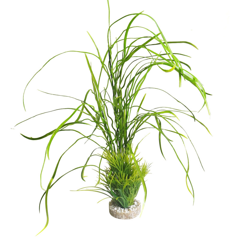 Sydeco Lily Grass Maxi H 45 cm