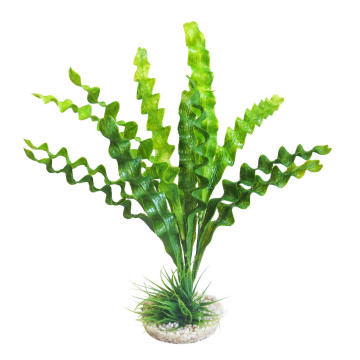 Sydeco Aponogeton / Hottonia Mix H 26-31 cm 