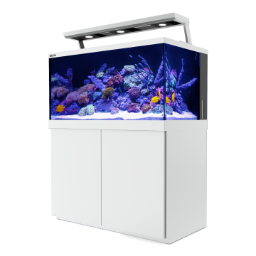  Max® S-500 LED - 3 ReefLED - Blanc 