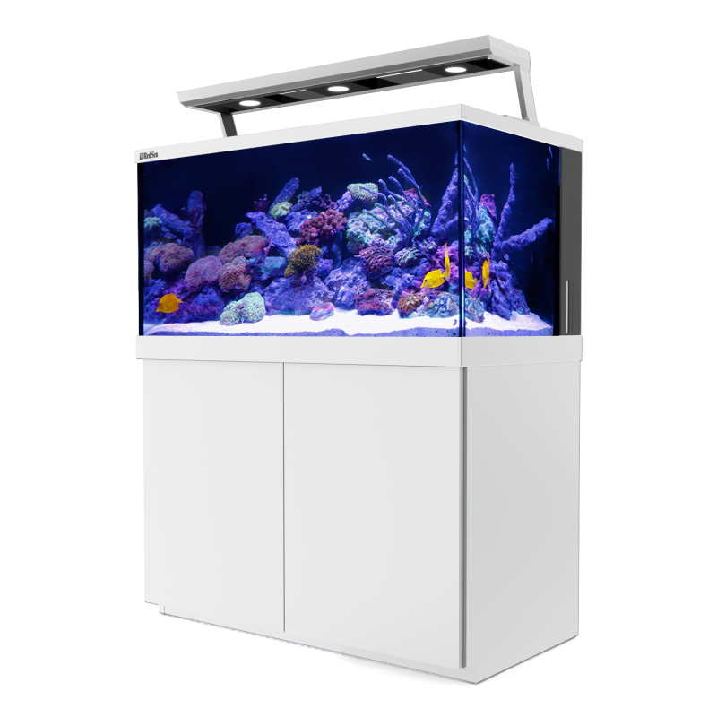  Max® S-500 LED - 3 ReefLED - Blanc 