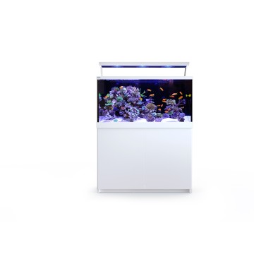  Max® S-500 LED - 3 ReefLED - Blanc 