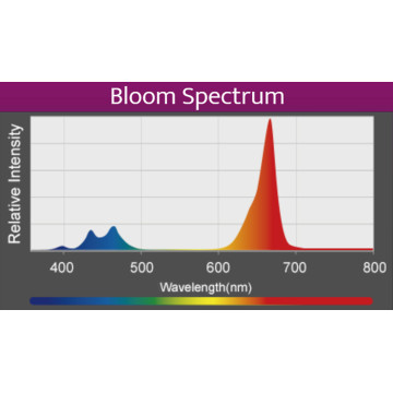 Kessil LED A360X Refugium