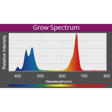 Kessil LED A360X Refugium 451,95 €