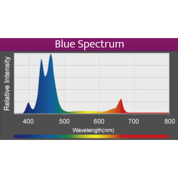 Kessil LED A360X Refugium