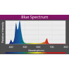 Kessil LED A360X Refugium 451,95 €