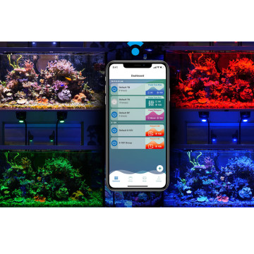 Kessil LED A500X 799,95 €