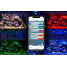 Kessil LED A500X 799,95 €