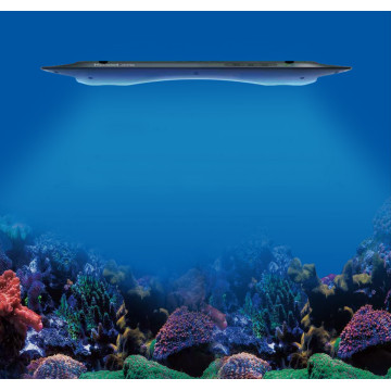 Kessil LED AP9X 913,70 €