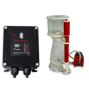 Bubble King Double Cône 180 + RD3 Speedy