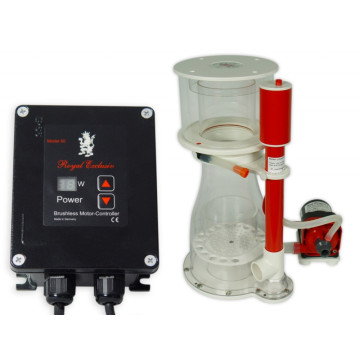 Bubble King Double Cône 200 + RD3 Speedy