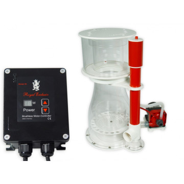 Bubble King Double Cône 250 + RD3 Speedy