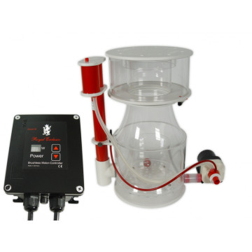 Bubble King Supermarin 300 + RD3 Speedy