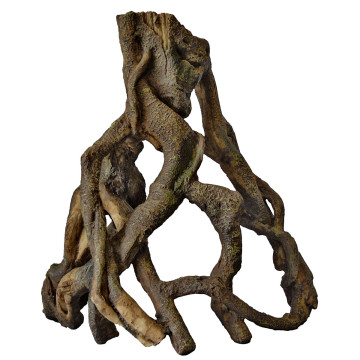 Superfish mangrove root l