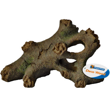 Superfish tree root s
