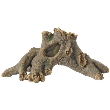 Superfish tree root l