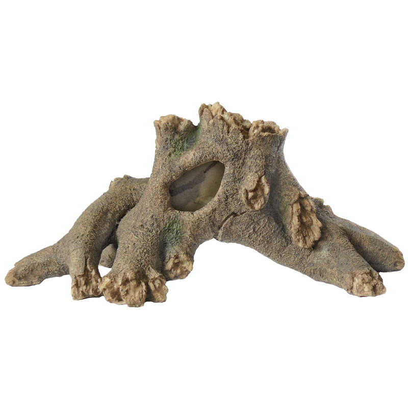 Superfish tree root l