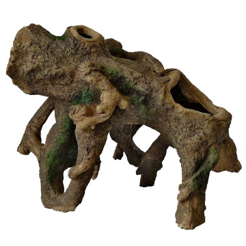Superfish standing root m