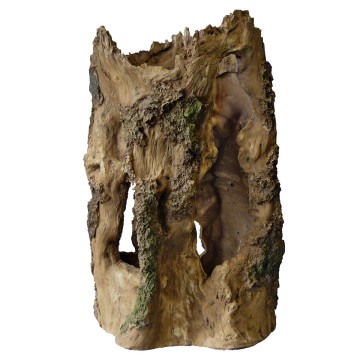 Superfish tree home l