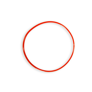 Silicon O-ring - 168 x 2,5 mm 11,00 €