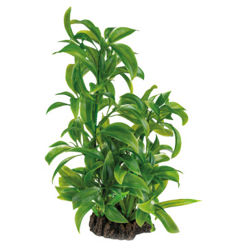 Superfish art plant 25cm dracaena