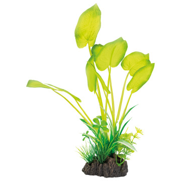 Superfish art plant 25cm echinodorus