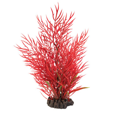 Superfish art plant 25cm ludwigia