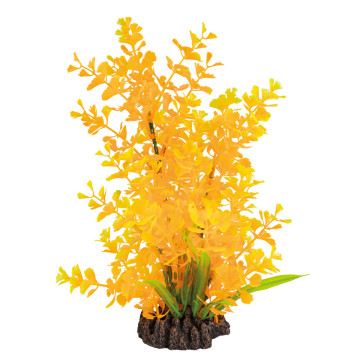 Superfish art plant 25cm ludwigia orange