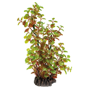 Superfish art plant 25cm rotala