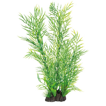 Superfish art plant 40cm ceratopteris