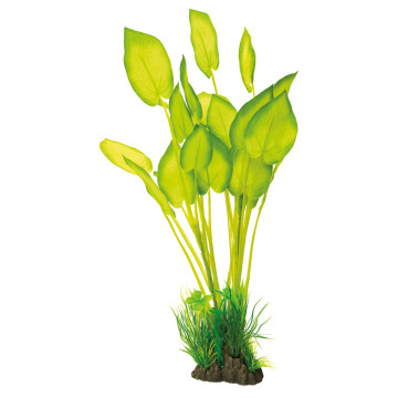 Superfish art plant 40cm echinodorus