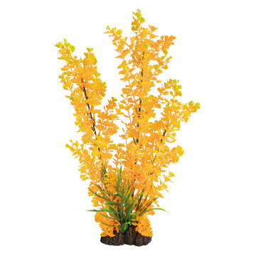 Superfish art plant 40cm ludwigia orange