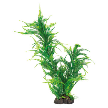 Superfish art plant 40cm microsorum