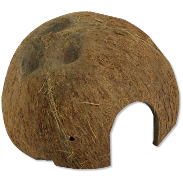 JBL Cocos Cava coque de noix de coco servant de grotte pour aquariums et terrariums 1/2 L