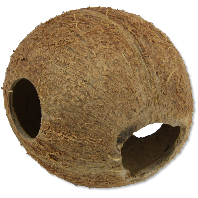 JBL Cocos Cava coque de noix de coco servant de grotte pour aquariums et terrariums 1/1M
