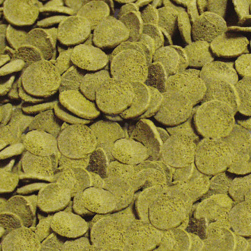Sera Wels-Chips Nature 10 litres (3.8kg)