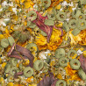sera Flowers’n’Loops 1.000ml