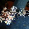 Hymenocera elegans - Crevette arlequin (le couple) 78,90 €