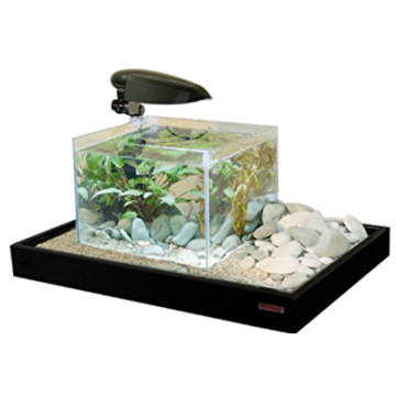 Decoratieve lade golf Amtra Zen-artiest zwart 73cm 