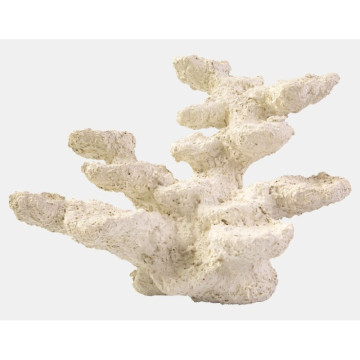 Blue Marine Rock Standing