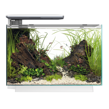 Superfish aquarium quadro 70 pro