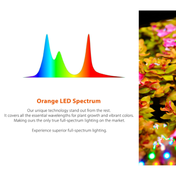 TWINSTAR S-line IV 300 (30cm) 