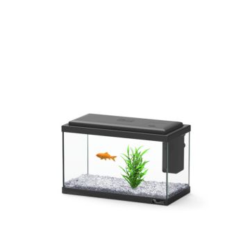 Aquatlantis aquarium Explorer Madrid 30x15x21 cm
