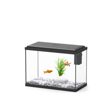 Aquatlantis aquarium Explorer London 35x18x26.5 cm