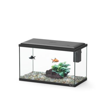 Aquatlantis aquarium Explorer Lisbon 40.5x20.5x26.5 cm