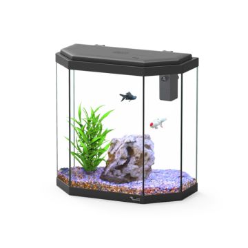 Aquatlantis aquarium Explorer Rome 40x20x41 cm
