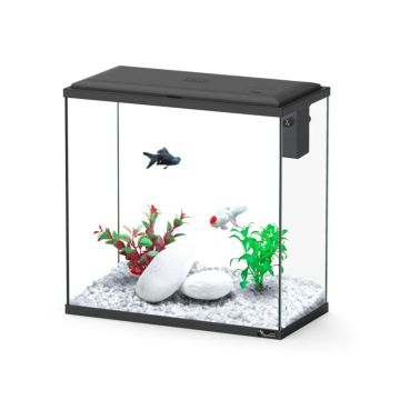 Aquatlantis aquarium Explorer Dublin 40.5x20.5x41.8 cm