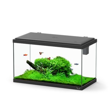 Aquatlantis aquarium Explorer Paris 60x30x34 cm