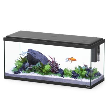 Aquatlantis aquarium Explorer Amsterdam 80x30x37 cm