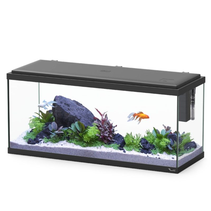 Aquatlantis aquarium Explorer Amsterdam 80x30x37 cm